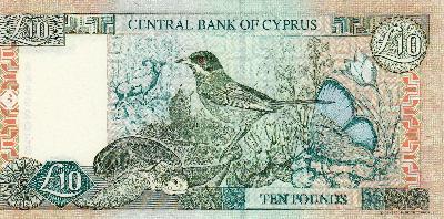 Beschrijving achterzijde: BIRDS